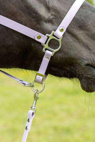 ZAVVIT - Comfort Fit Flieder Details Nahaufnahme eines fliederfarbenen Halfters an einem Pferd mit grünem Hintergrund.