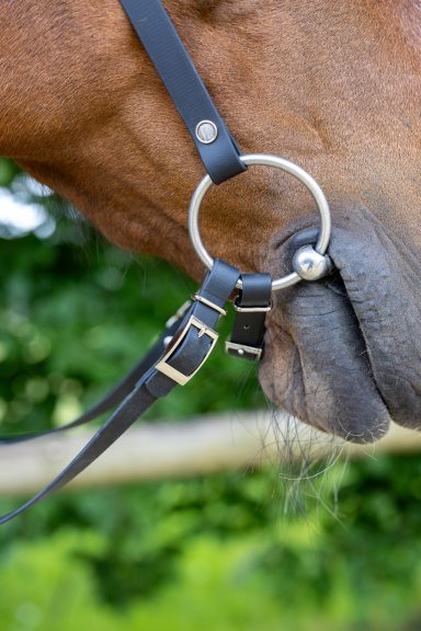 ZAVVIT Elegance - Zügel mit Schnalle Close-up von einem Pferdezügel mit Trensenring im Pferdemaul